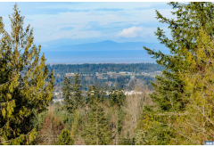 9999  Ferndale Dr