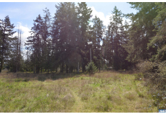 999 W Silberhorn Rd