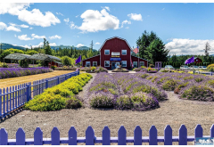 274154  Highway 101 63 Guiles Road
