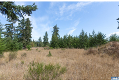 Lot 3  Secor Road
