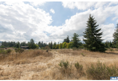 Lot 4  Secor Road
